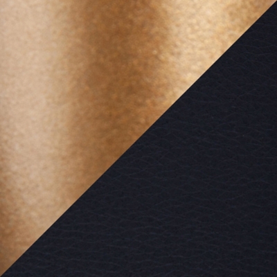Swatch color Black/Gold 