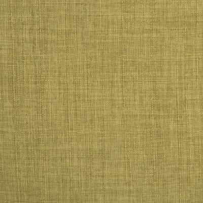 Swatch color Acid Green 