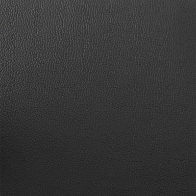 Swatch color Black/Bronze 