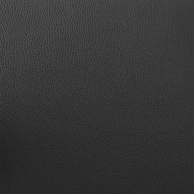 Swatch color Black/Bronze 