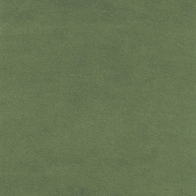 Swatch color Loden Green 