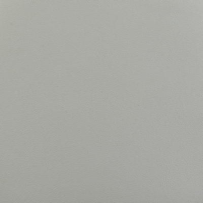 Swatch color Gray/Chrome 