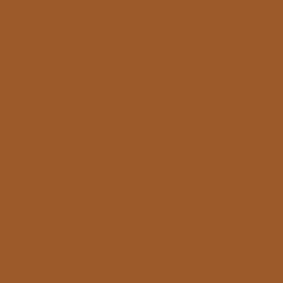 Swatch color Saddle 