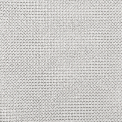 Swatch color Silver 