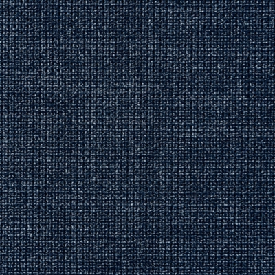 Swatch color Blue 