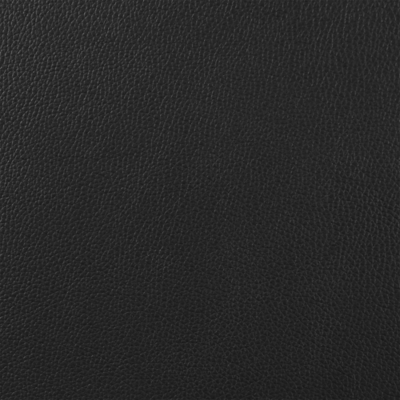 Swatch color Black 