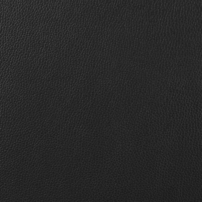 Swatch color Black 