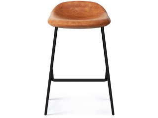 Simpli Home Dafney Counter Height Bar Stool (Set of 2)