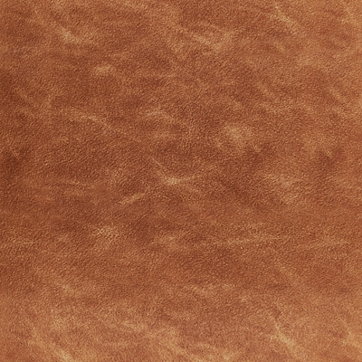Swatch color Camel Brown 