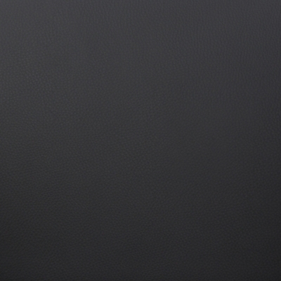 Swatch color Black 