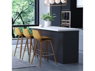 Simpli Home Randolph Counter Height Bar Stool (Set of 2)