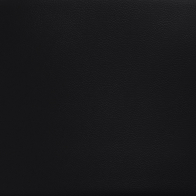 Swatch color Black 