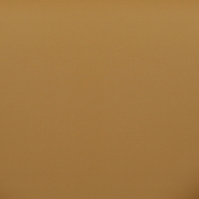 Swatch color Tan 