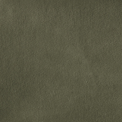 Swatch color Turtle Green 