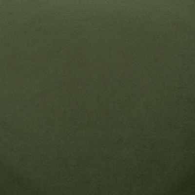 Swatch color Olive Green 