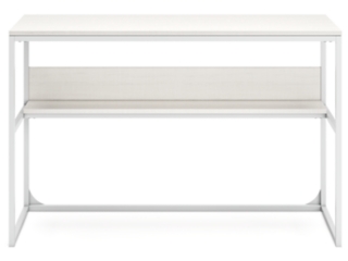 Deznee 48" Home Office Desk with 1 Shelf