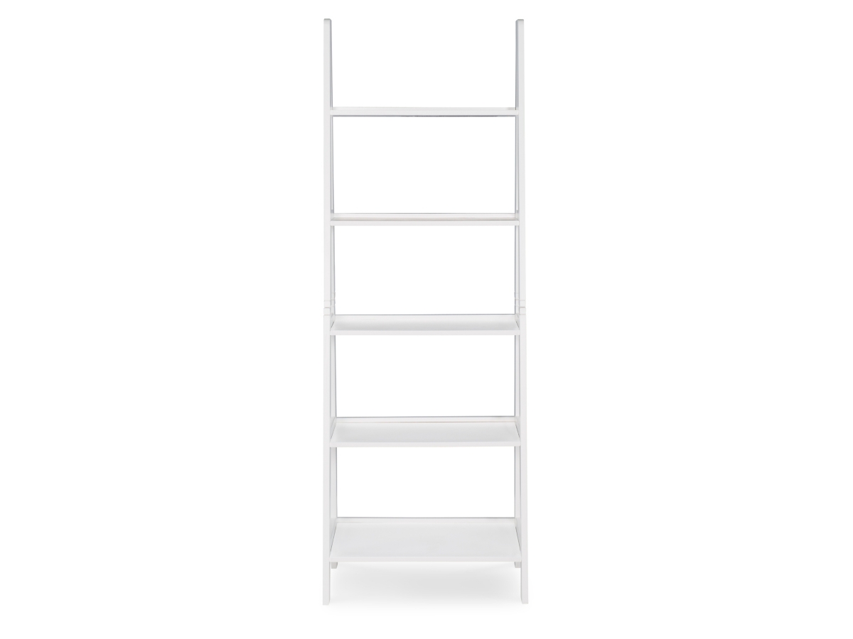 Falan Ladder Bookshelf