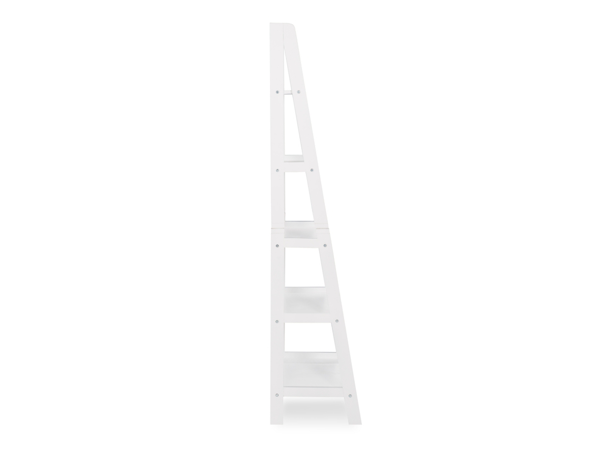 Falan Ladder Bookshelf