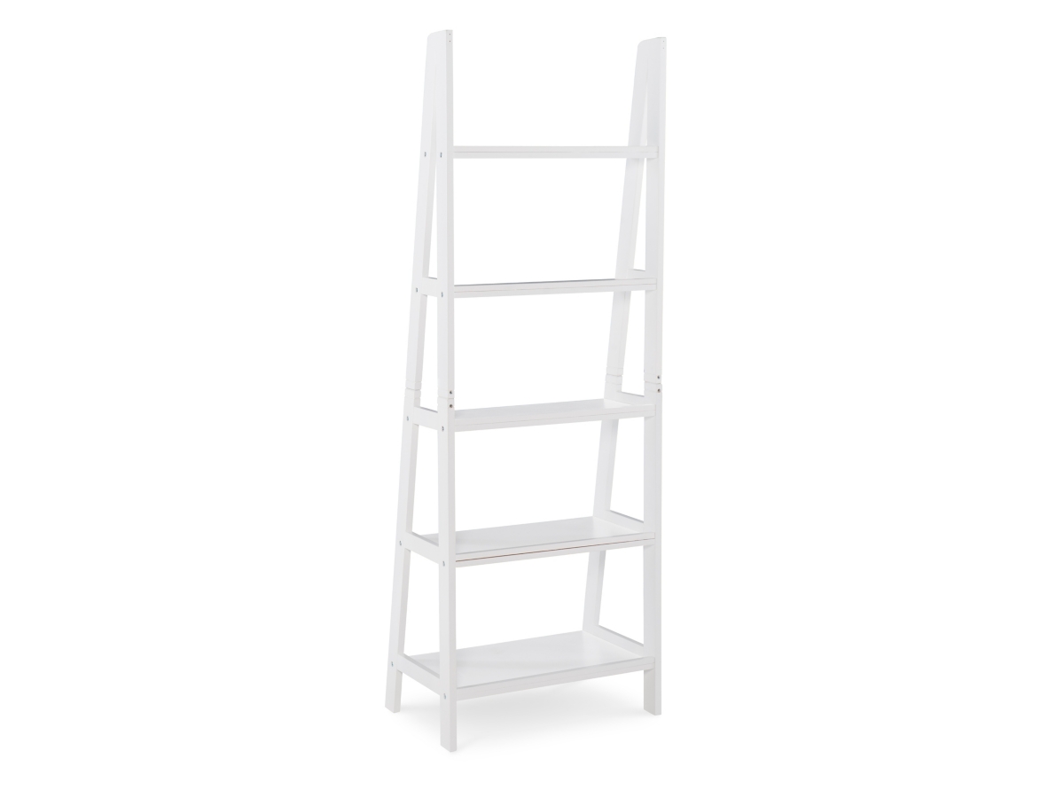 Falan Ladder Bookshelf