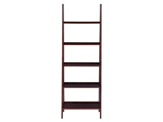 Falan Ladder Bookshelf