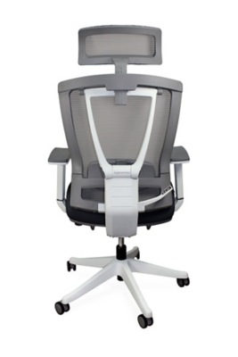 Autonomous Premium Ergonomic Office Chair, Black/White, large