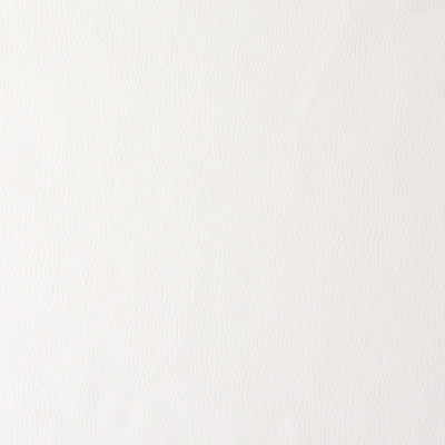 Swatch color White 