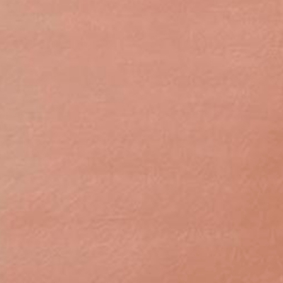 Swatch color Brown 