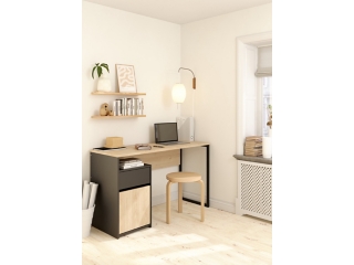 Tvilum Waylon 31" Function Plus Desk