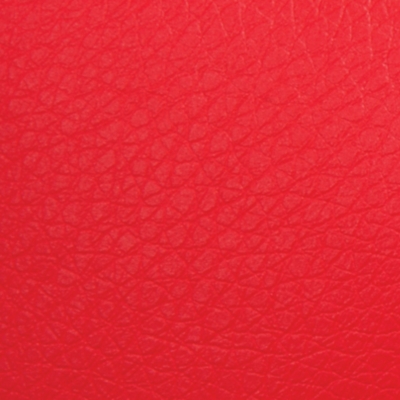 Swatch color Black/Red 