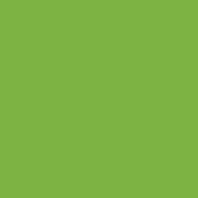 Swatch color Palm Green 