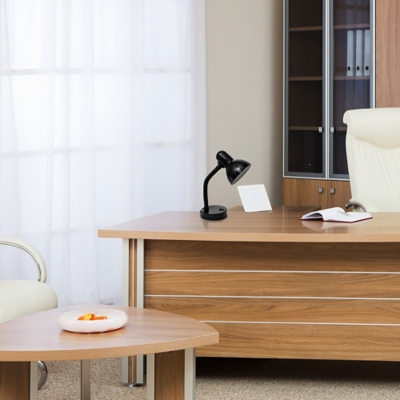 Home Accents Simple Designs Basic Metal Desk Lamp with Flexible Hose Neck, Black, large