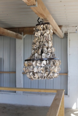 Creative Co-Op Oyster Shell Chandelier, , large