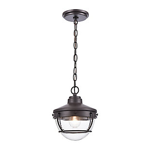 Bianca  1-Light Hanging Pendant in Oil Rubbed Bronze, Oil Rubbed Bronze, large