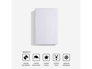 BEDGEAR iProtect Queen Mattress Protector