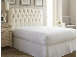 iEnjoy Home Zippered Queen Bed Bug and Spill Proof Mattress Protector