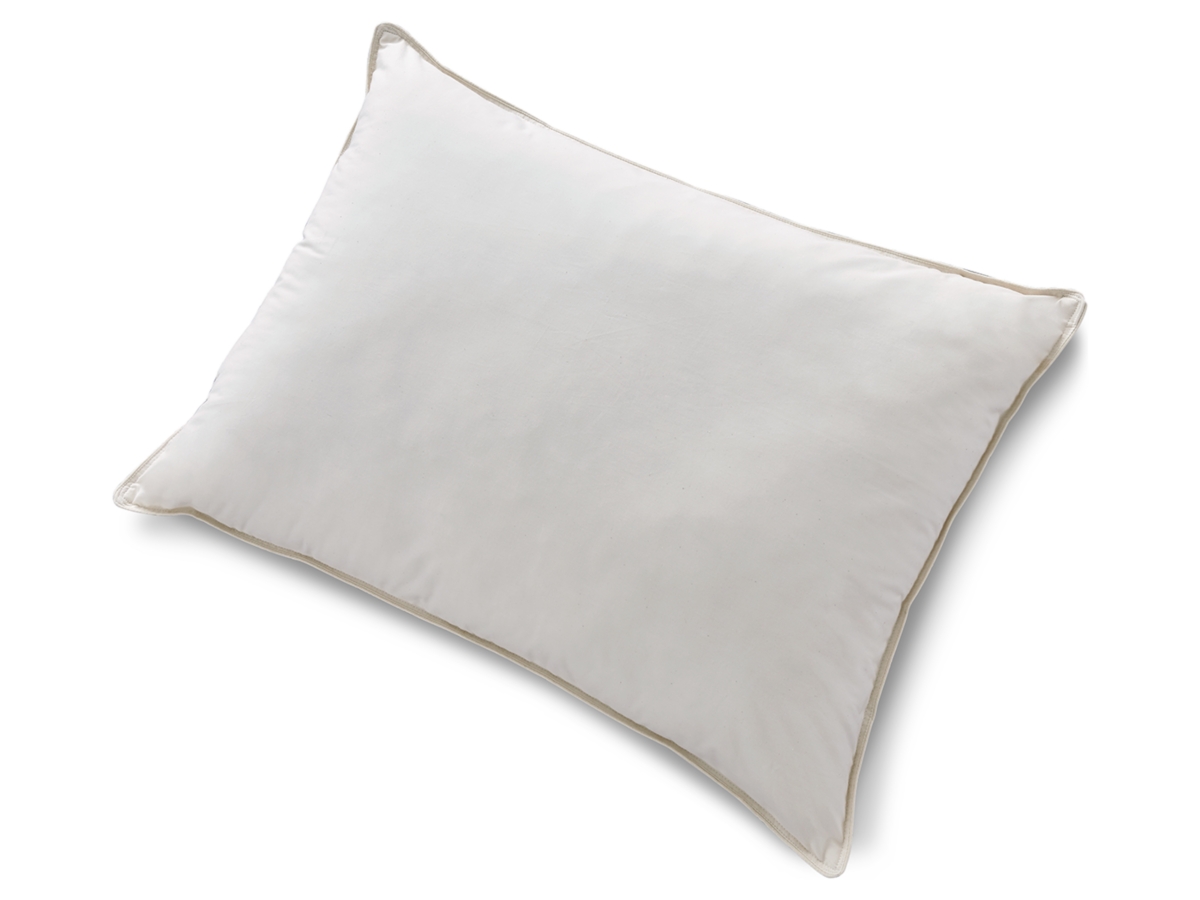 Ashley Sleep Essentials Cotton Allergy Pillow