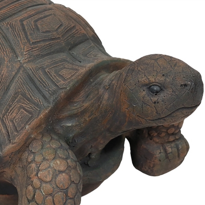 Sunnydaze Outdoor Tanya the Tortoise Statue | Ashley