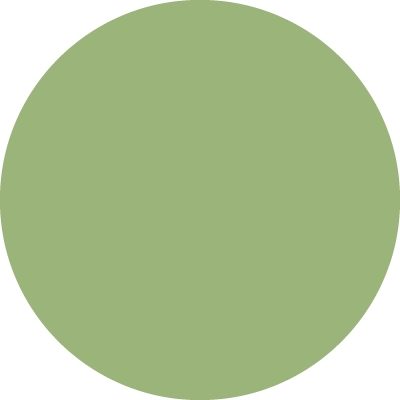 Swatch color Wasabi Green 