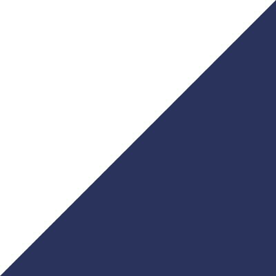 Swatch color White/Navy 