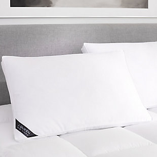 J.Queen New York Regency Standard Medium Pillow, White, large
