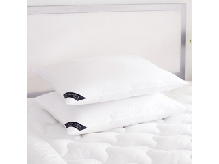 J. Queen New York Royalty Soft Pillow Pair