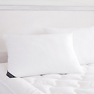 J. Queen New York Dupont Standard Queen Medium Pillow, White, rollover