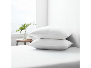 Home Collection 2 Pack Plush Down Alternative Gel Fiber Pillows