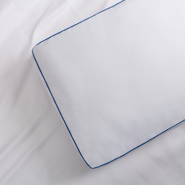 Cannon Microfiber Gusset Extra Firm Pillow 2 Pack