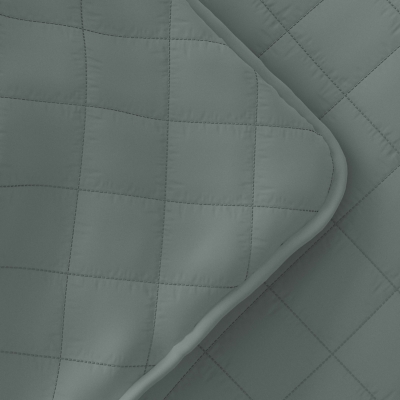 Swatch color Eucalyptus 