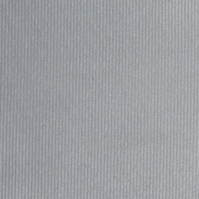 Swatch color Silver 