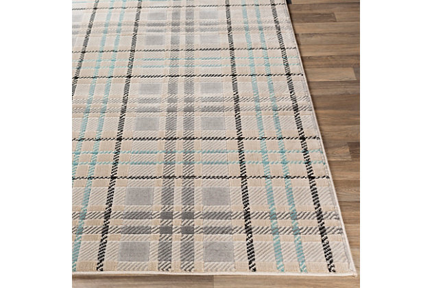 Whether your inspiration is preppy chic, American classic or modern farmhouse, this plaid area rug makes itself at home with easy-to-love, transitional appeal. Neutral palette adds to its relaxed sensibility.Made of polypropylene | Machine woven | Medium pile | Imported | Spot clean only