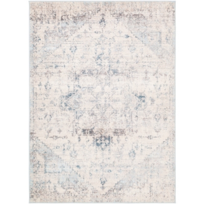 Surya Anakara Transitional Gray Area Rug, Gray/Blue, large