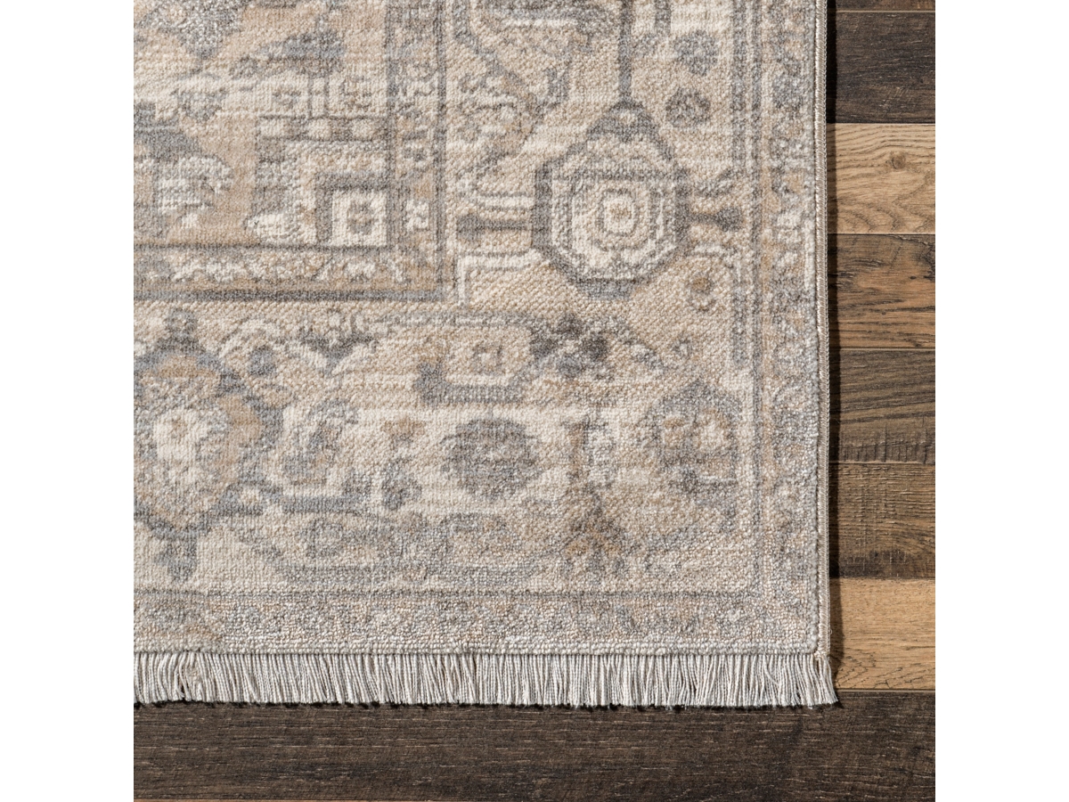 Vintage Medallion Fringe Area Rug, 3' x 5', 2024 Orange