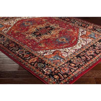Home Accents Serapi 3' 11" X 5' 7" Area Rug, Red, large